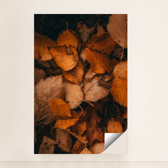 6334 - Product Image