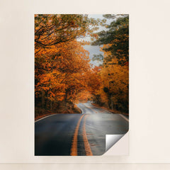 6331 - Product Image