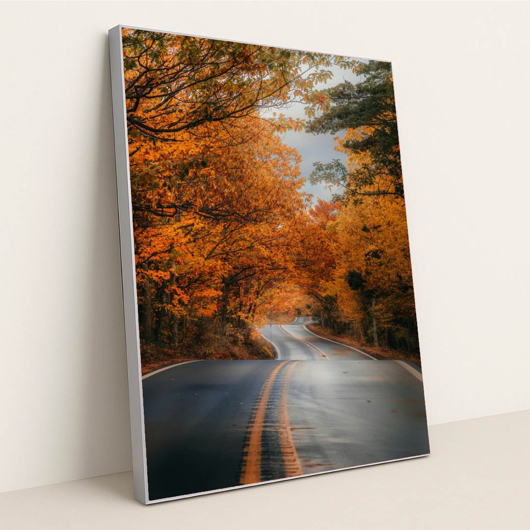 6331 - Product Image