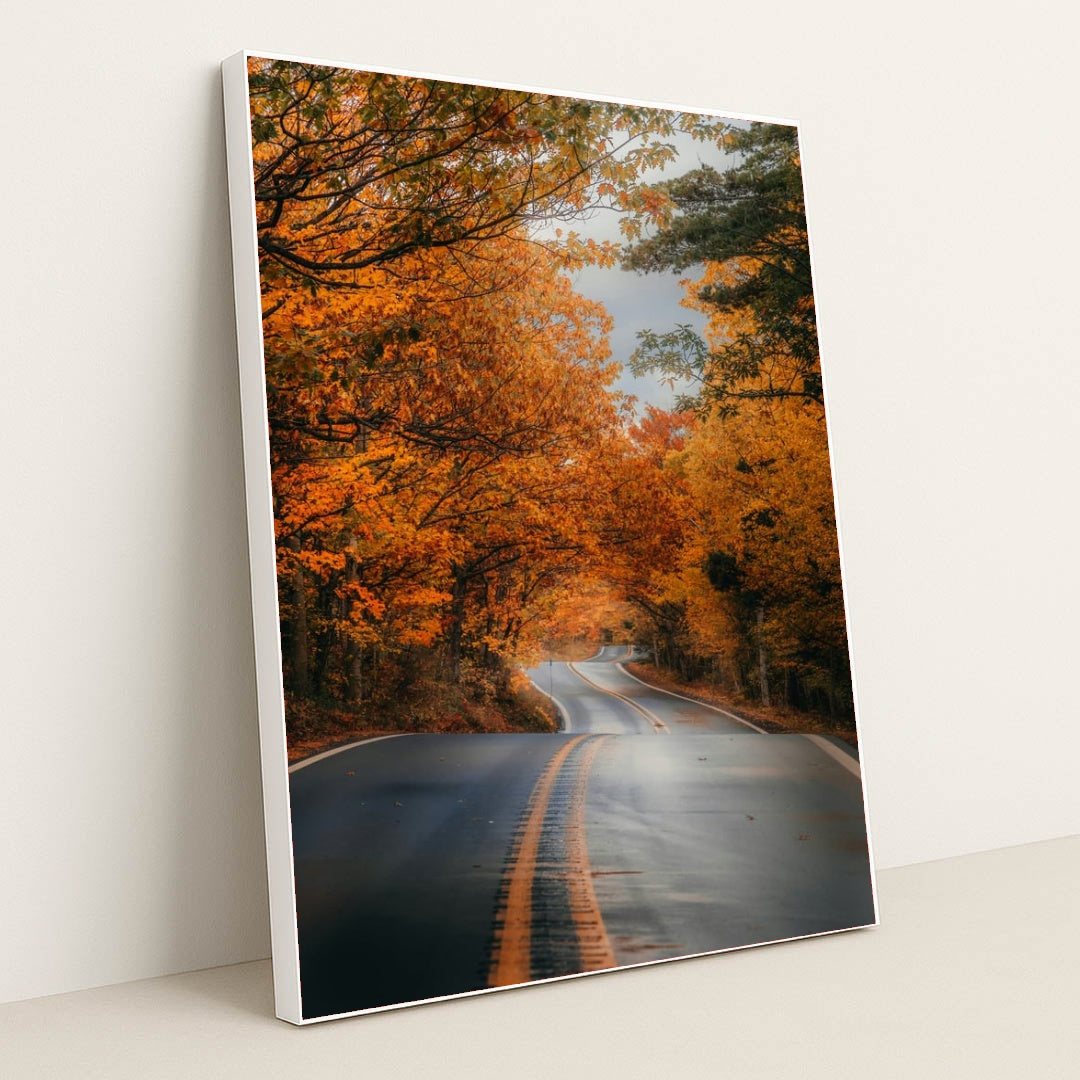 6331 - Product Image