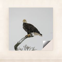 7090330664995 - Product Image