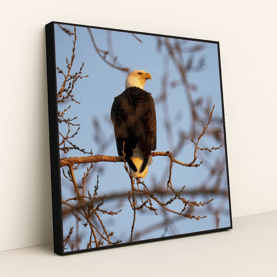 7090330697763 - Product Image