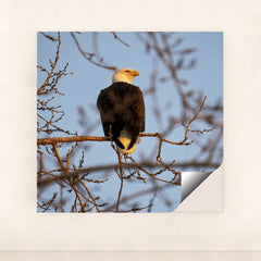 7090330697763 - Product Image