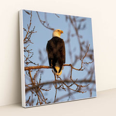 7090330697763 - Product Image