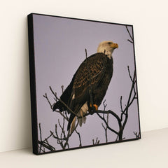 7090344820771 - Product Image