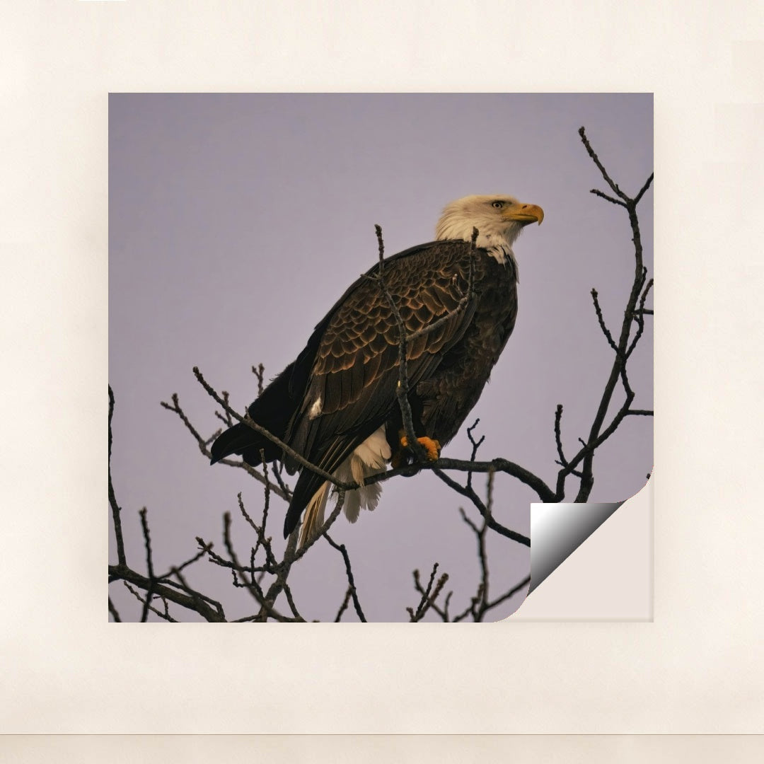 7090344820771 - Product Image