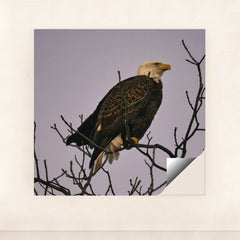 7090344820771 - Product Image