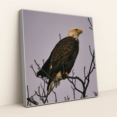 7090344820771 - Product Image