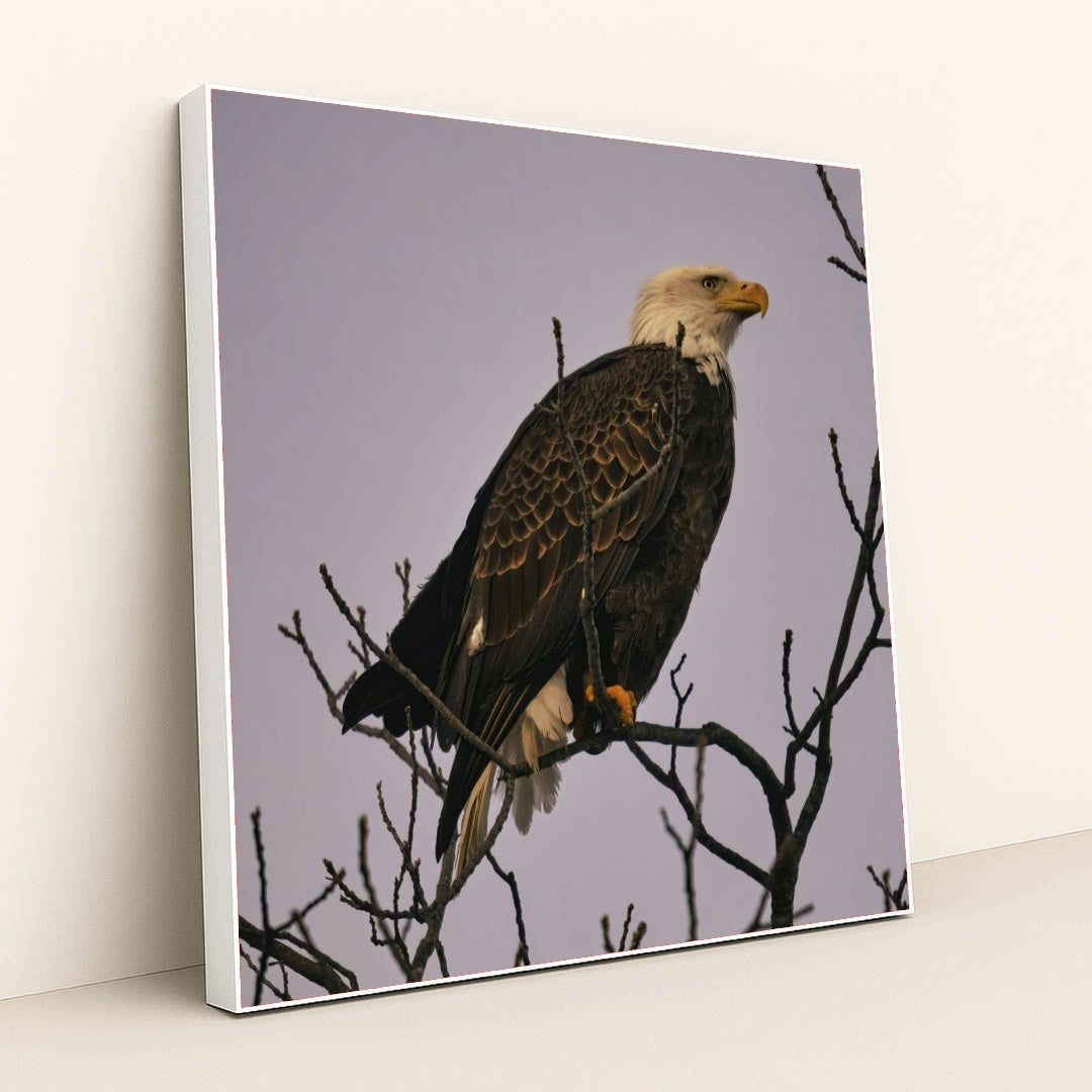 7090344820771 - Product Image