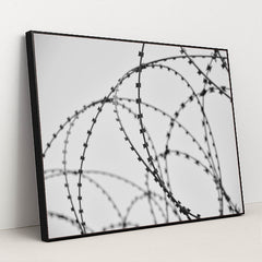 7090500436003 - Product Image