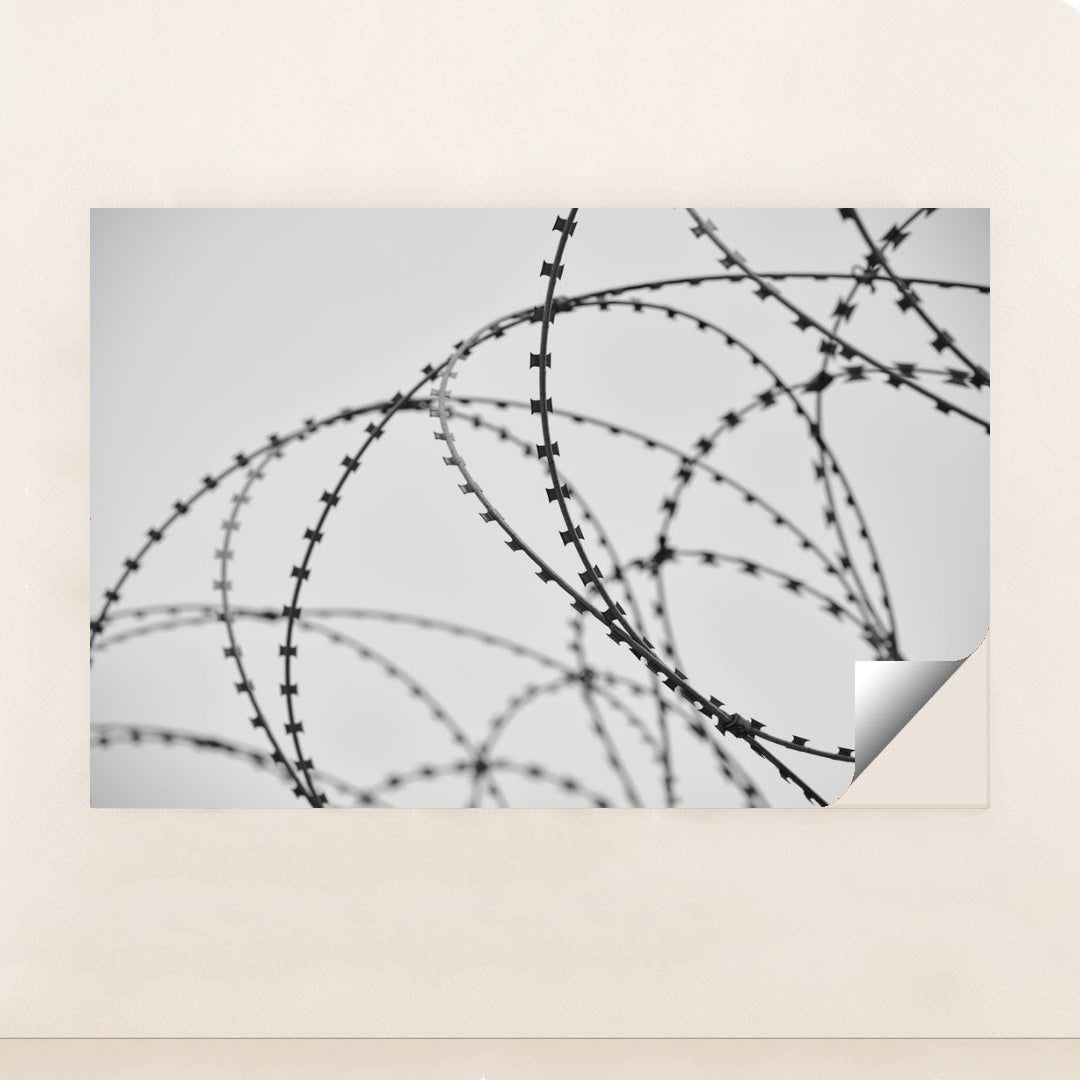 7090500436003 - Product Image