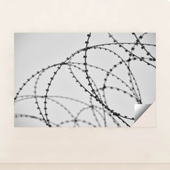 7090500436003 - Product Image