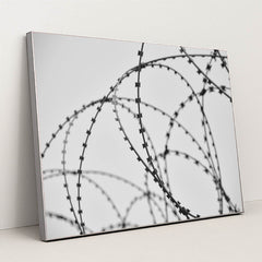 7090500436003 - Product Image