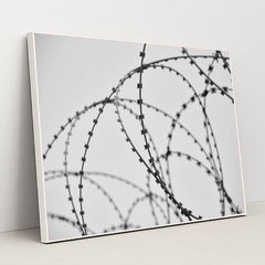 7090500436003 - Product Image