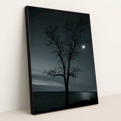 7090798657571 - Product Image