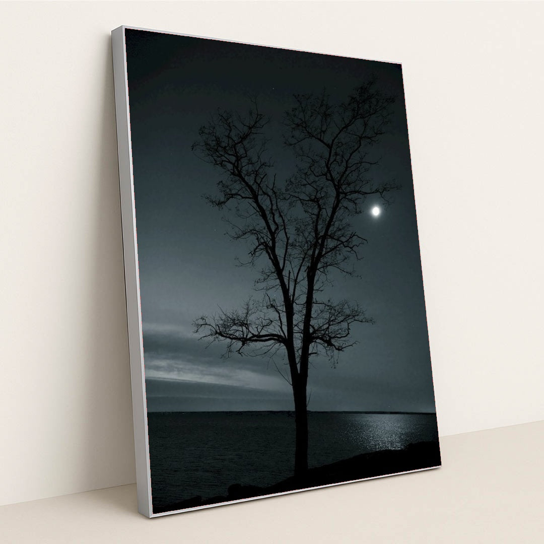 7090798657571 - Product Image