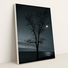 7090798657571 - Product Image