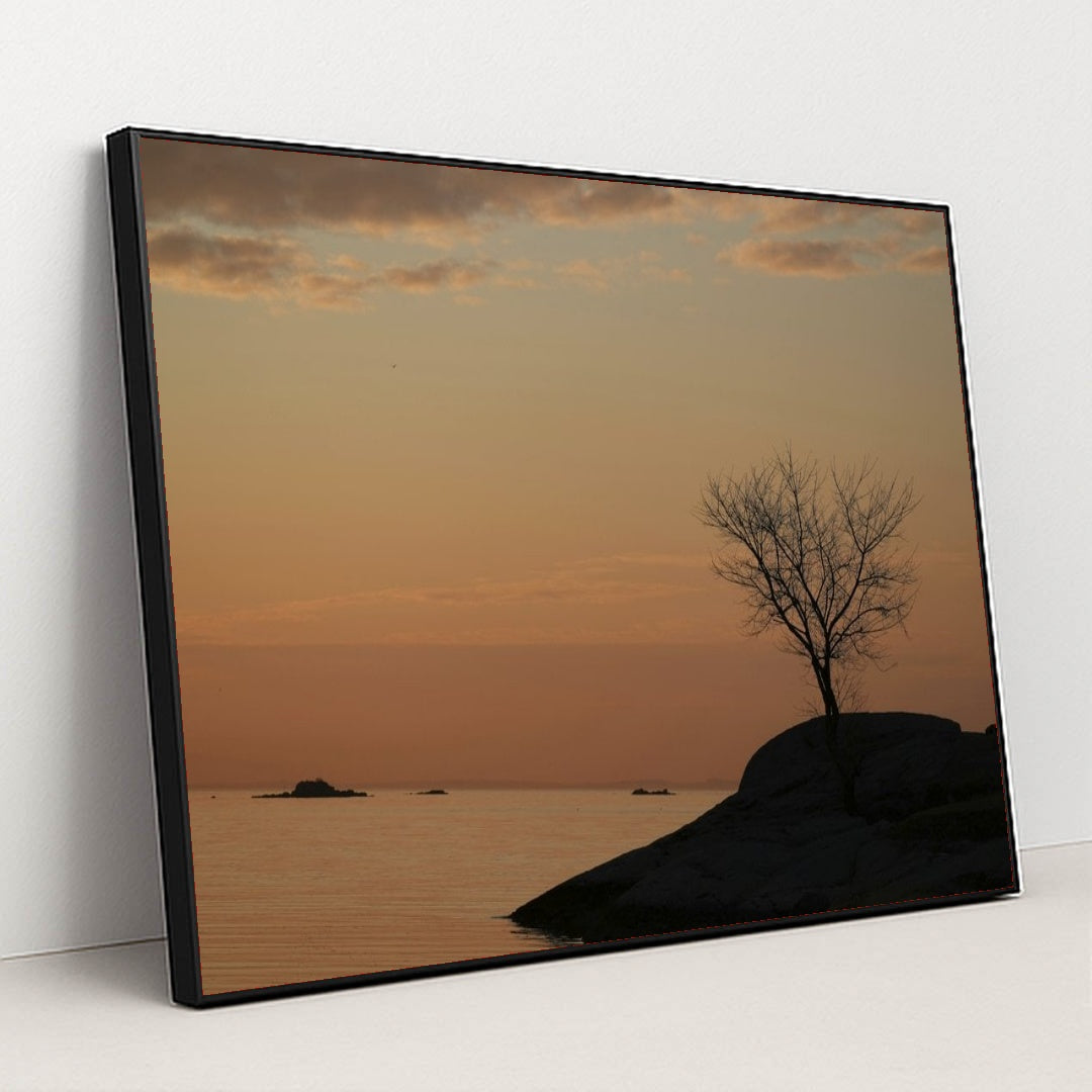 7090804162595 - Product Image