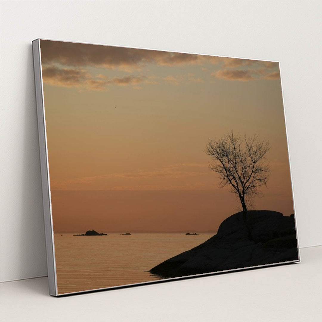 7090804162595 - Product Image