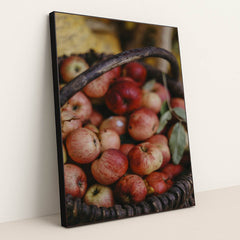 7090328764451 - Product Image