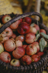 Valeria Boltneva - A collection of red apples in a wicker basket, captured in a fall setting.