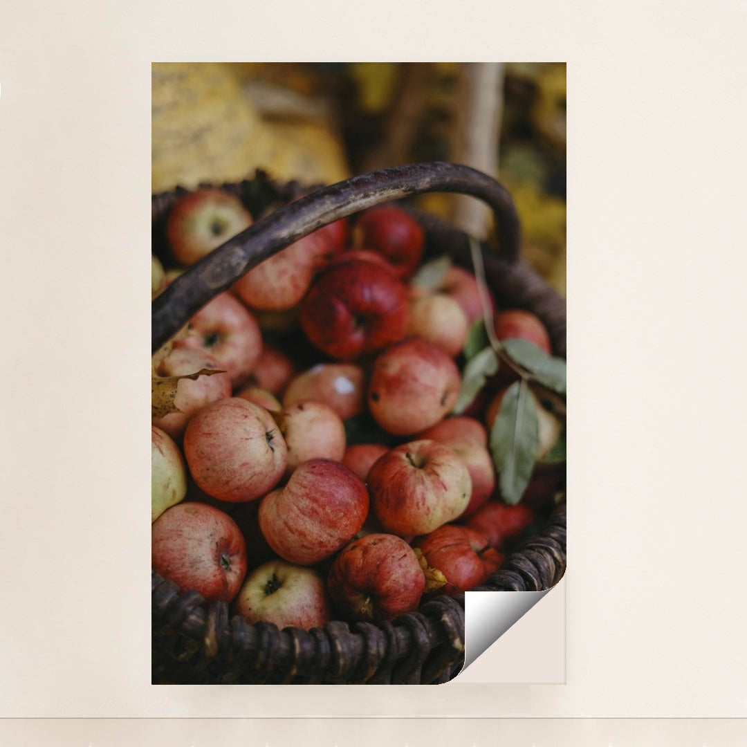 7090328764451 - Product Image