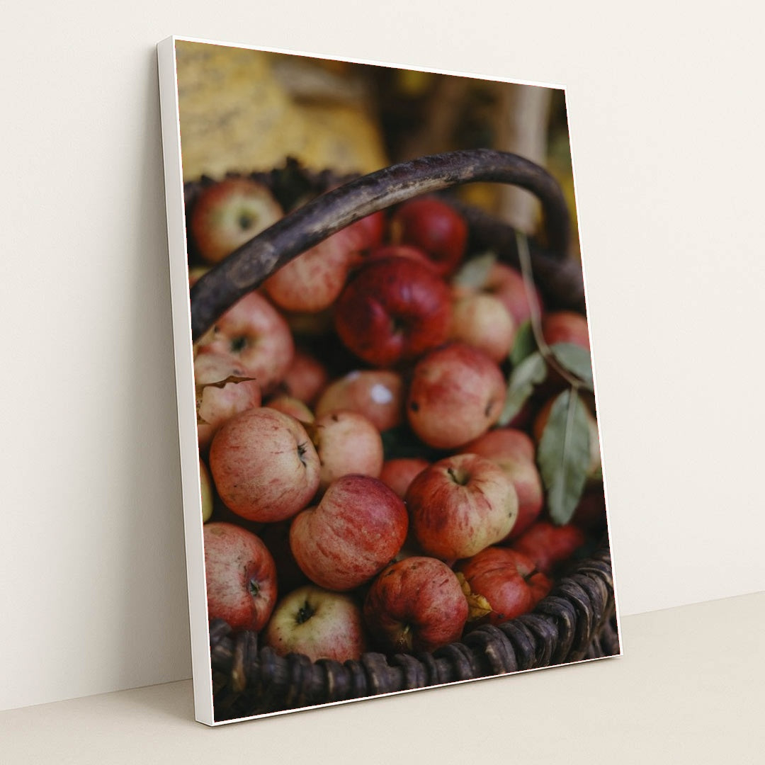 7090328764451 - Product Image