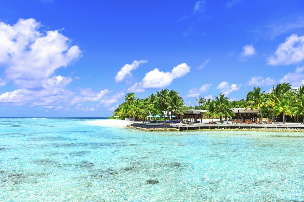 Asad Photo Maldives - Stunning tropical beach with clear waters and palm trees under a bright sunny sky.