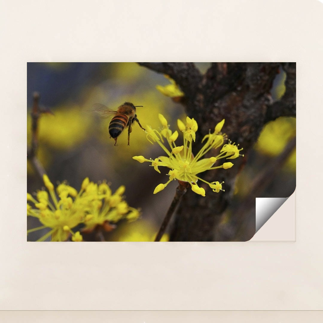 7090328567843 - Product Image