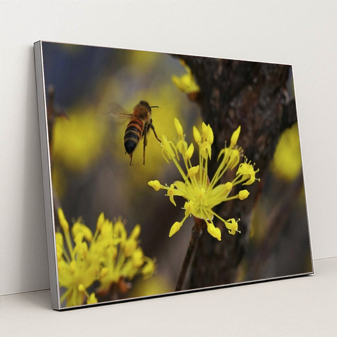 7090328567843 - Product Image