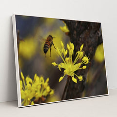 7090328567843 - Product Image