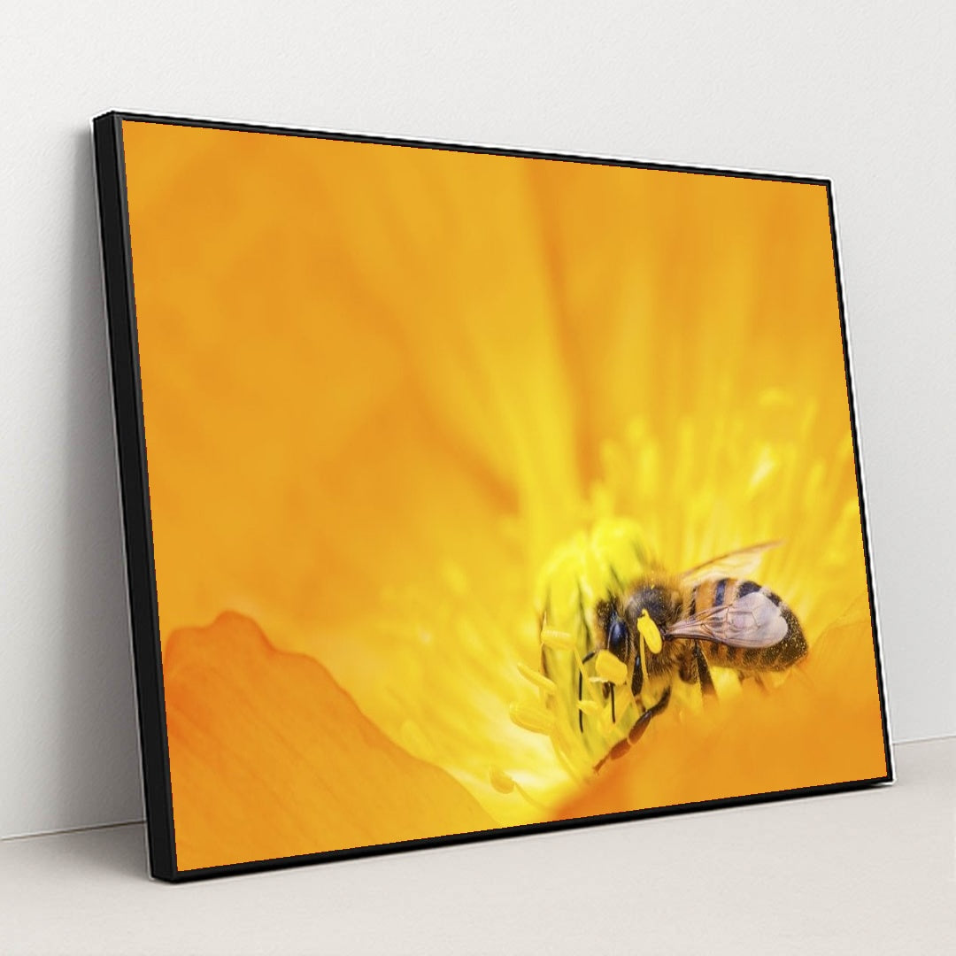 7090219188259 - Product Image