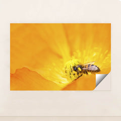 7090219188259 - Product Image