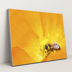 7090219188259 - Product Image