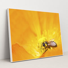 7090219188259 - Product Image