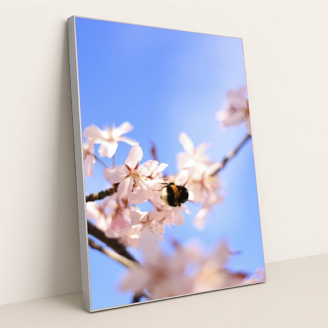 7090328141859 - Product Image