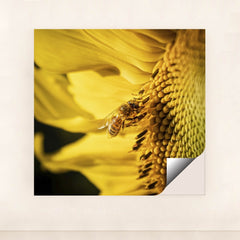 7090262147107 - Product Image