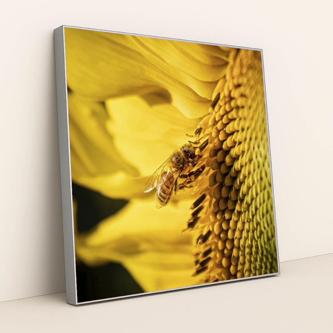 7090262147107 - Product Image