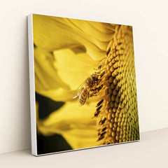 7090262147107 - Product Image