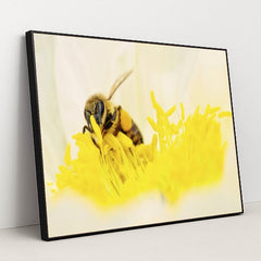 7090352062499 - Product Image