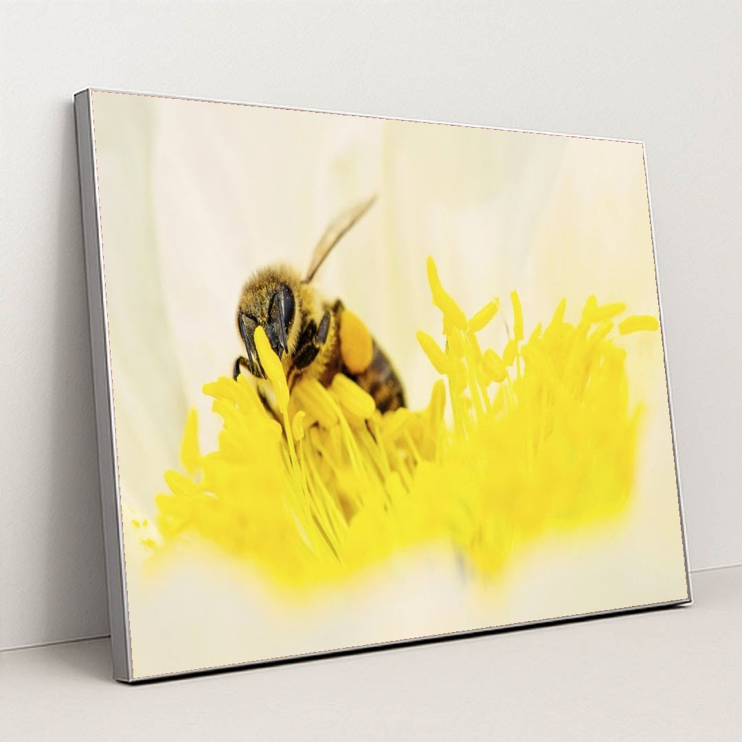 7090352062499 - Product Image