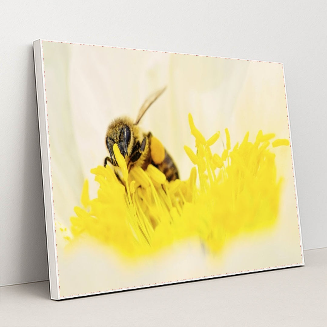 7090352062499 - Product Image