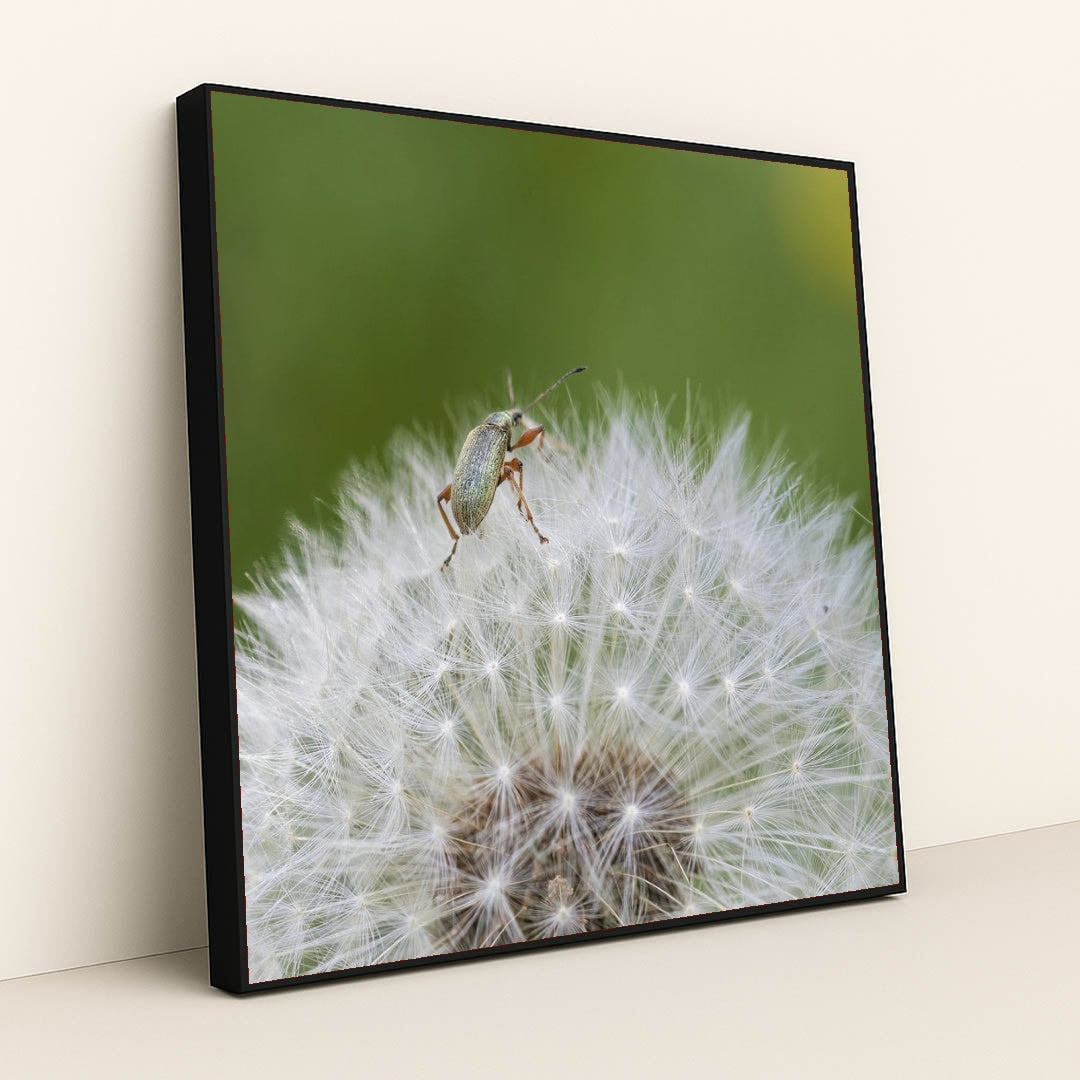 7090291769379 - Product Image