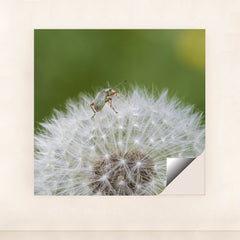 7090291769379 - Product Image