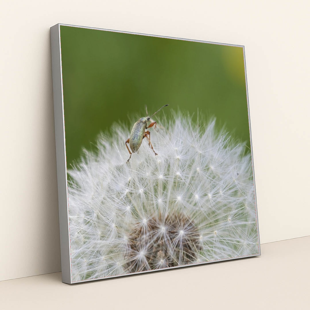 7090291769379 - Product Image