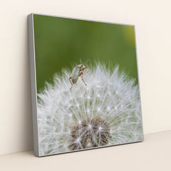 7090291769379 - Product Image