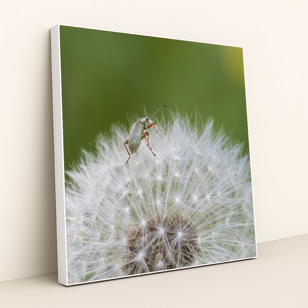 7090291769379 - Product Image