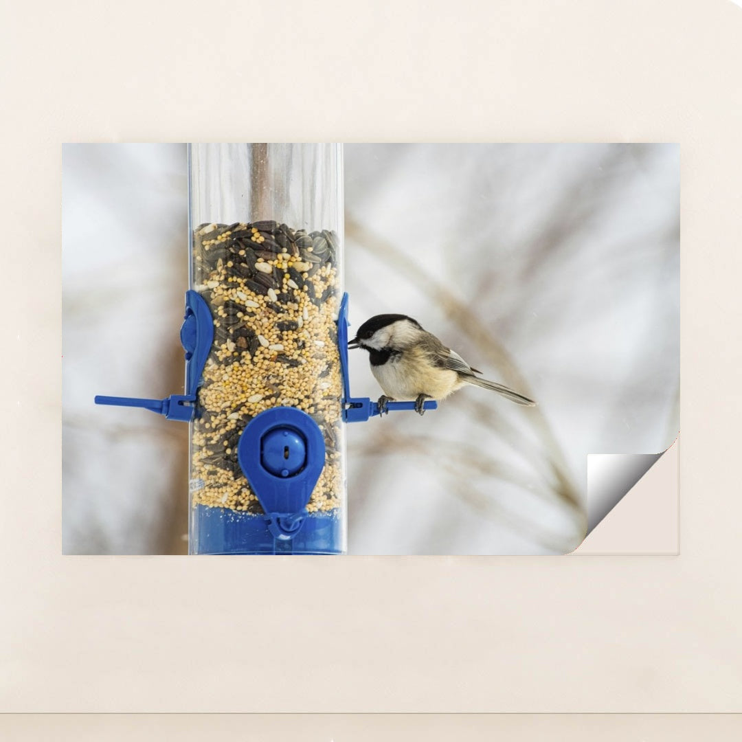 7090344886307 - Product Image