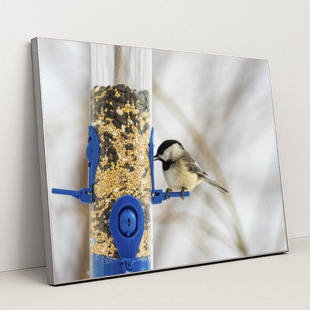 7090344886307 - Product Image