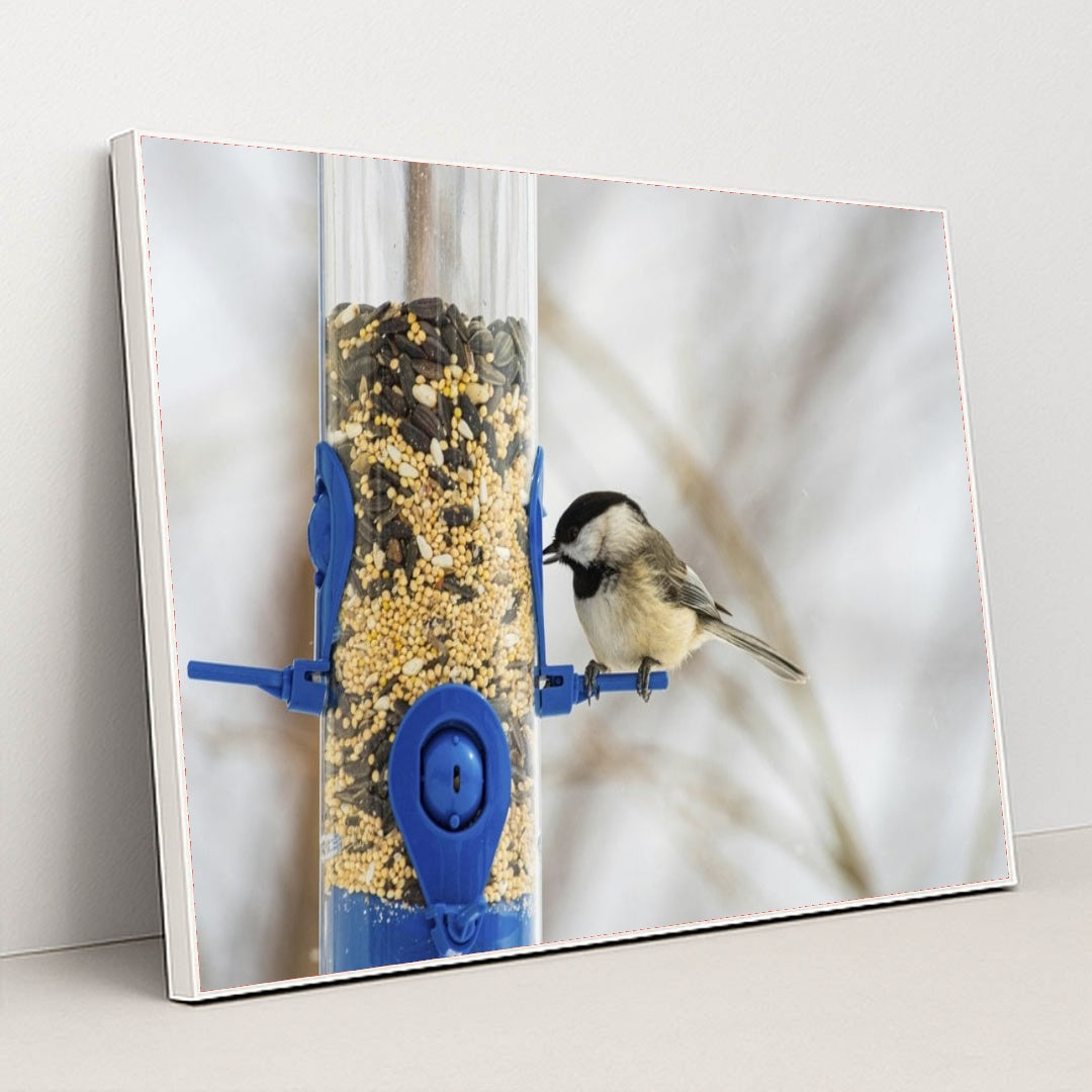 7090344886307 - Product Image